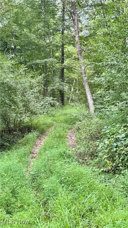 View of nature