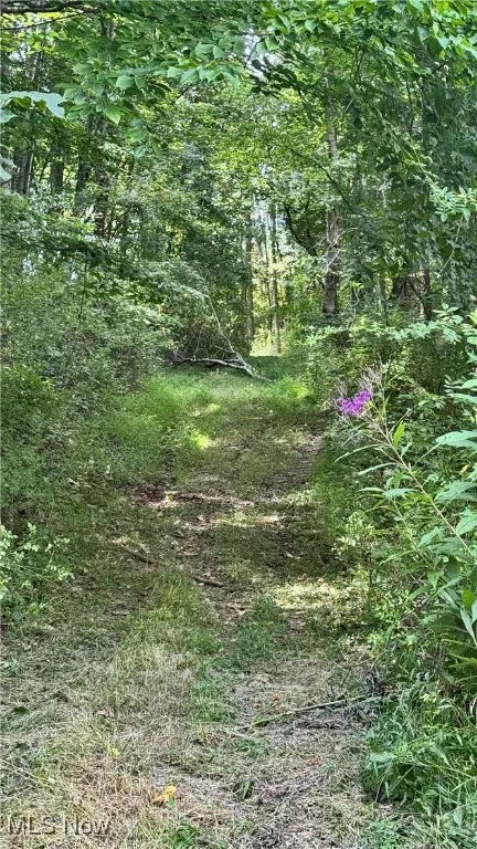 View of nature
