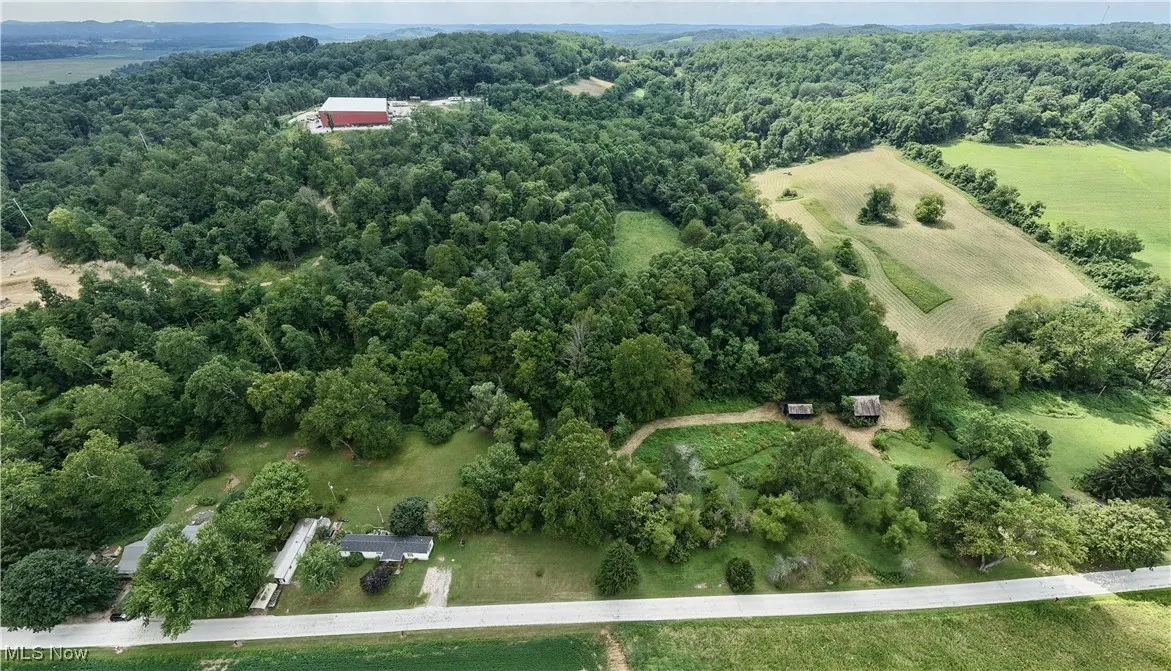 Aerial view of a forest