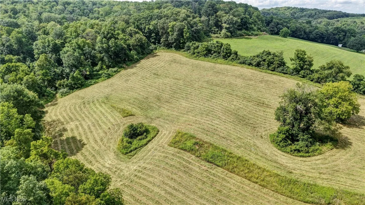 Aerial view of sparsely populated area featuring a forest