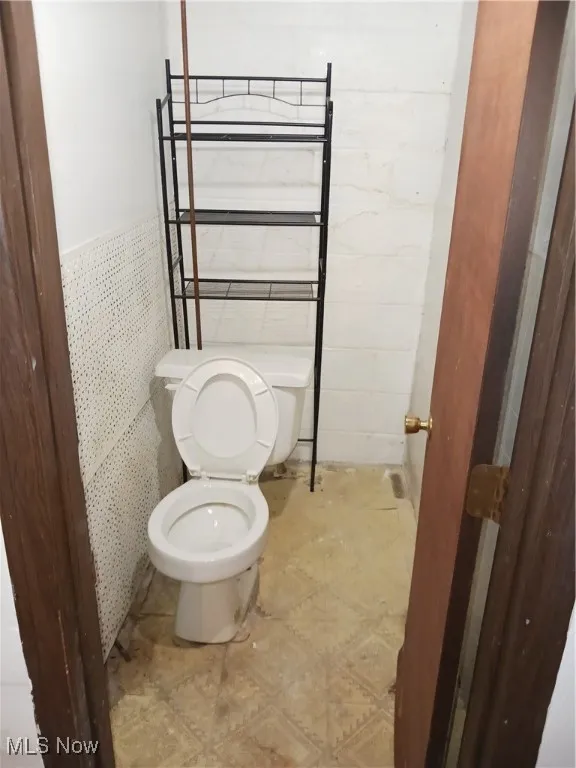 basement toilet