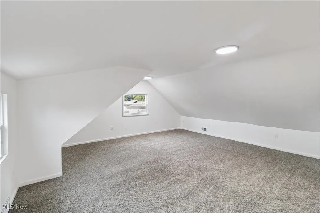 Additional living space featuring carpet floors and vaulted ceiling