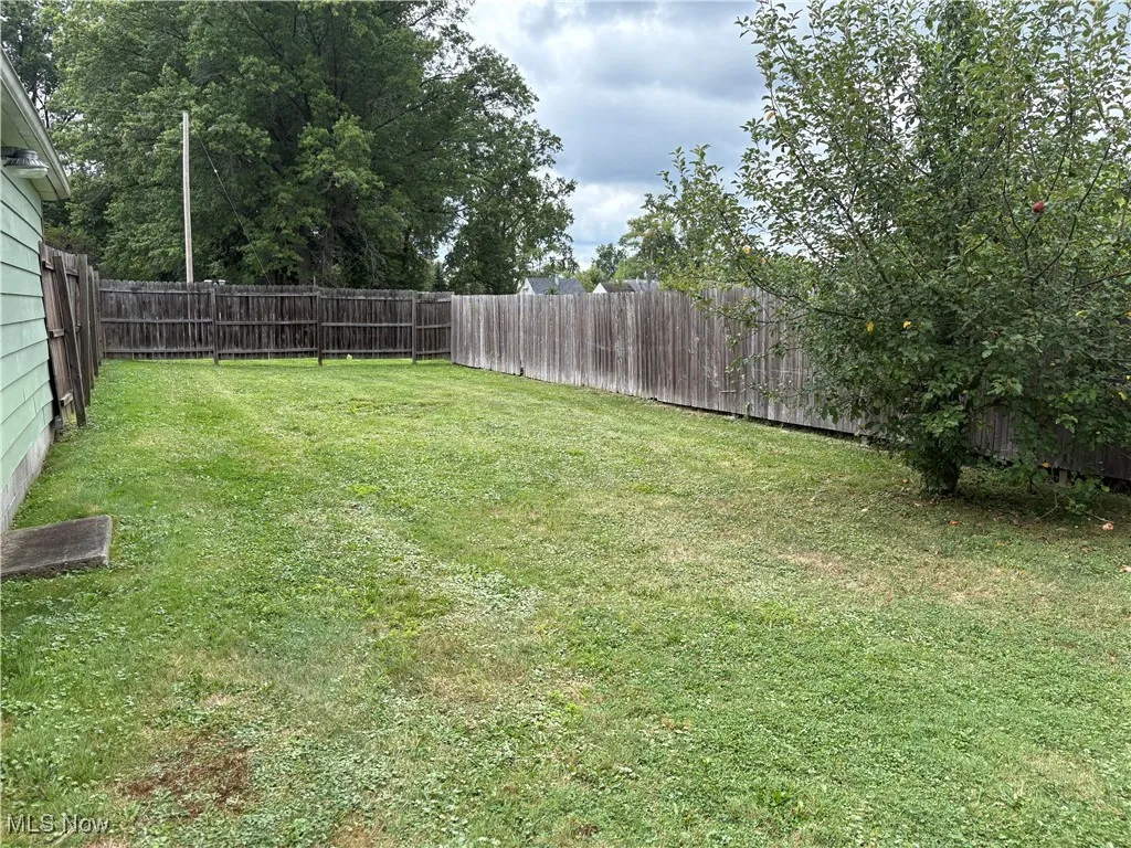 View of fenced backyard