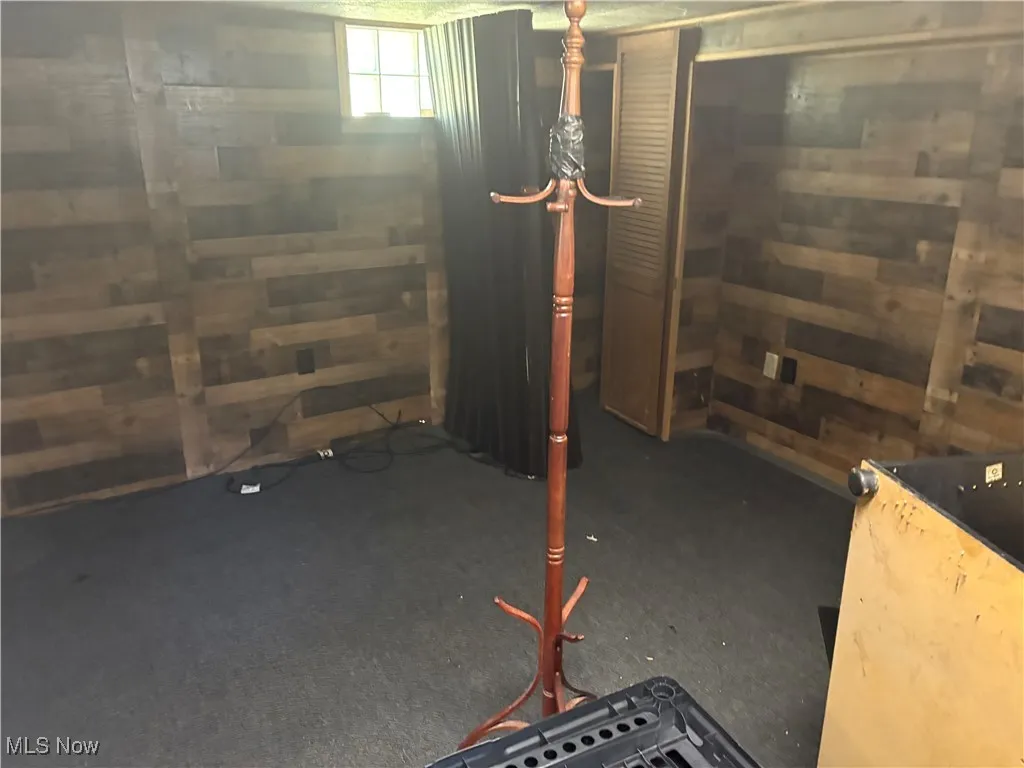 Below grade area with wooden walls