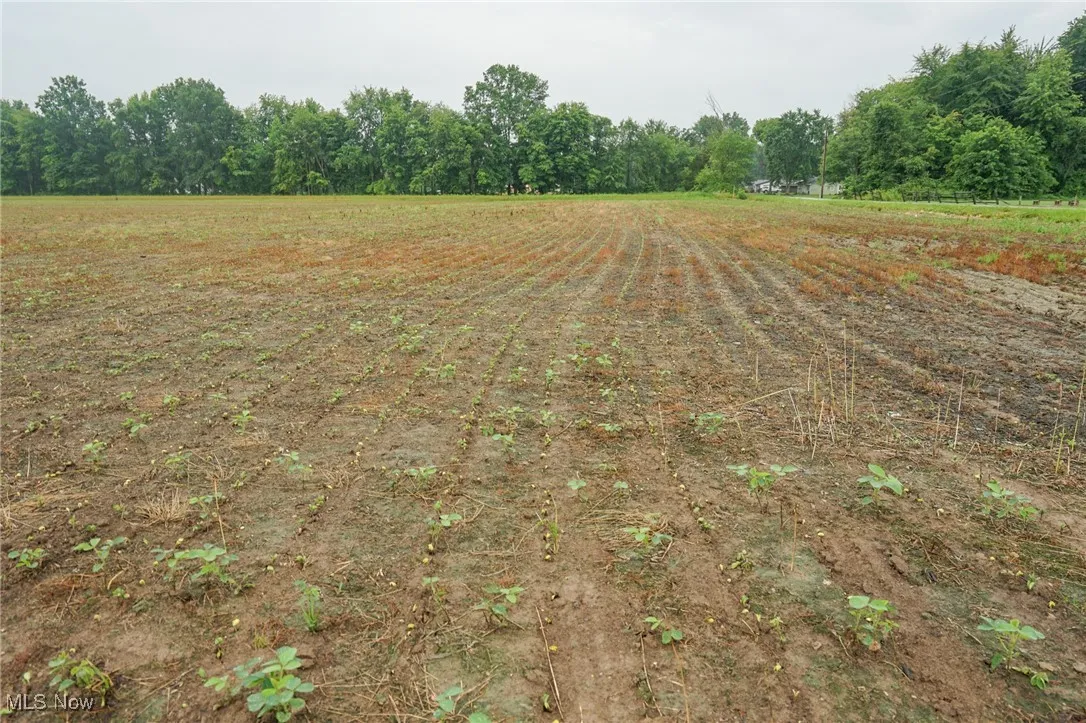 View of yard with view of wooded area and a view of countryside