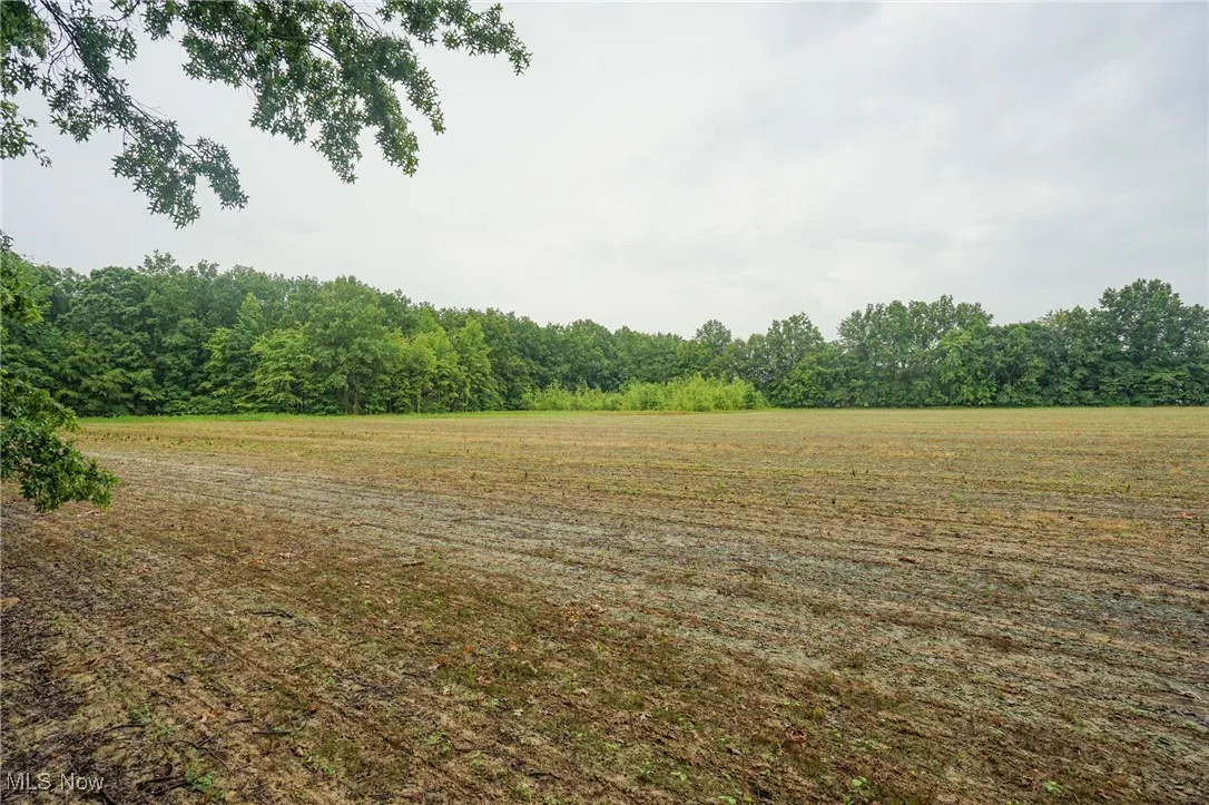 View of yard featuring a wooded view