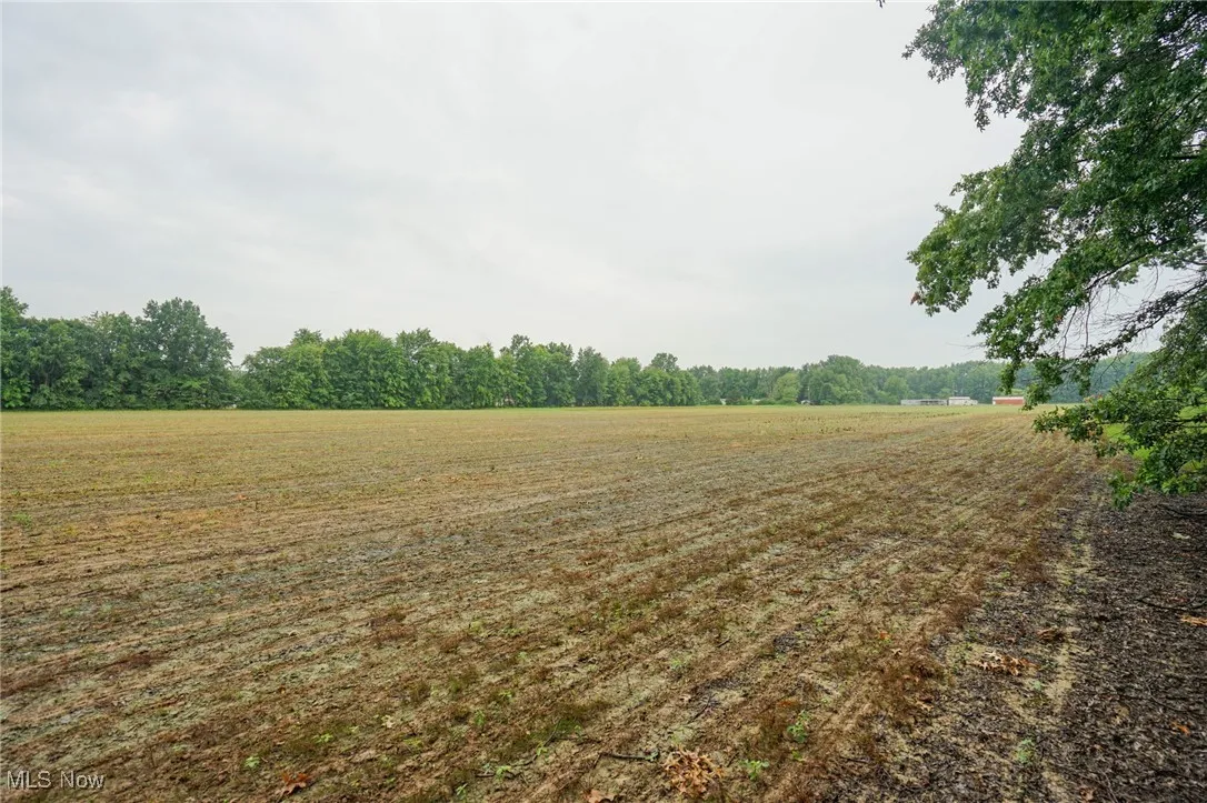 View of yard featuring a view of rural / pastoral area