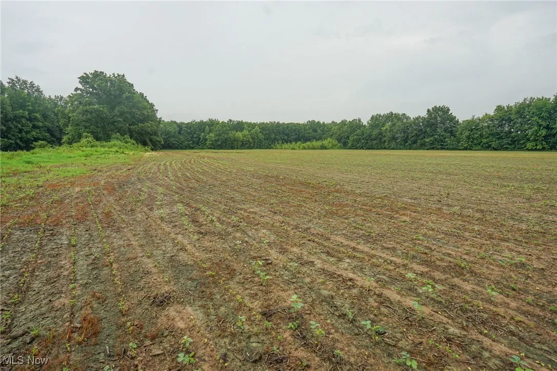 View of yard with a rural view