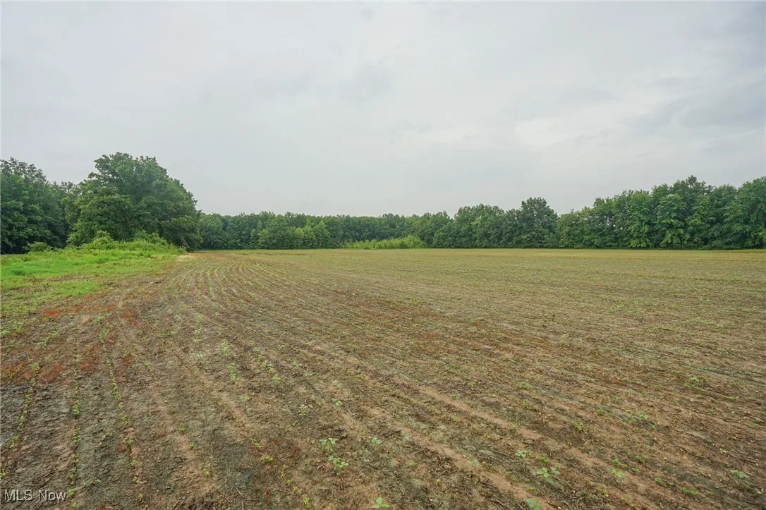 View of yard featuring a view of rural / pastoral area
