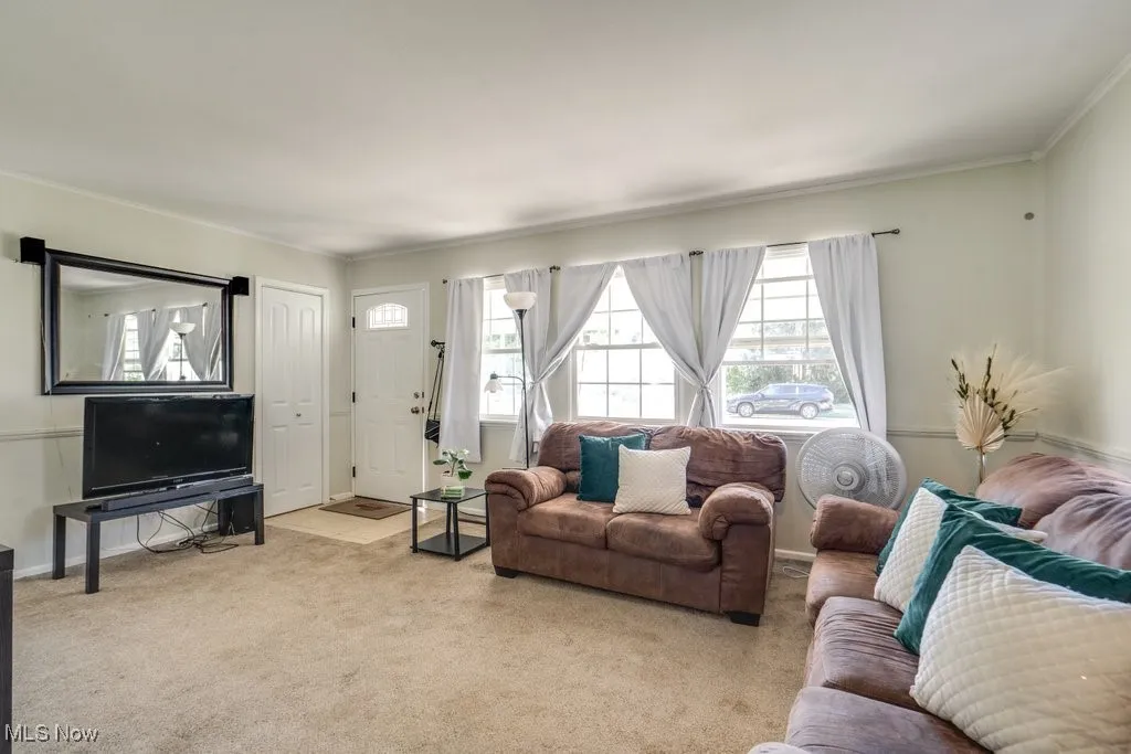 Carpeted living area featuring healthy amount of natural light and ornamental molding