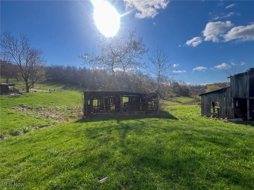 View of green lawn with an outbuilding