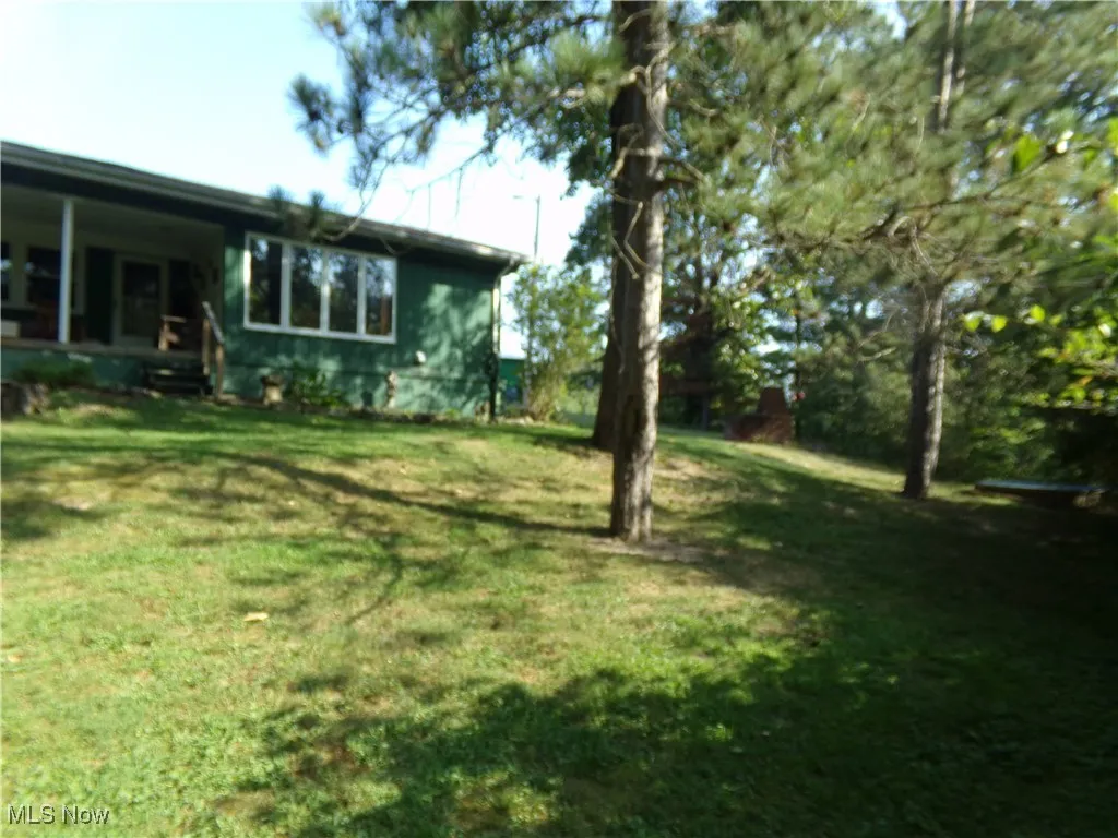 View of green lawn