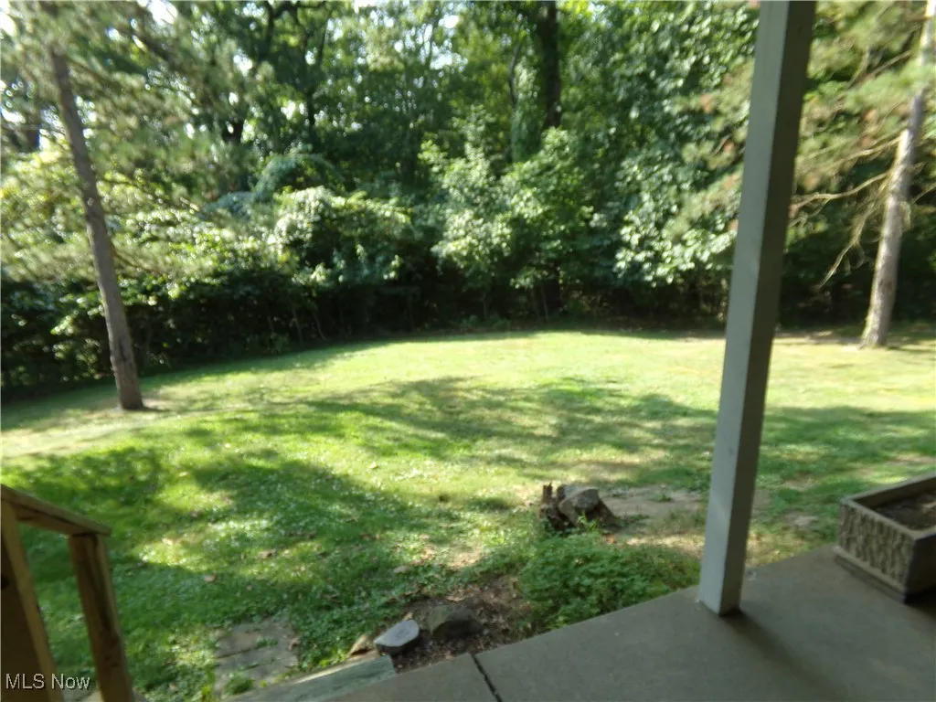 View of grassy yard