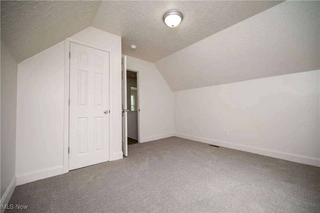 Bonus room featuring a textured ceiling, carpet floors, and lofted ceiling