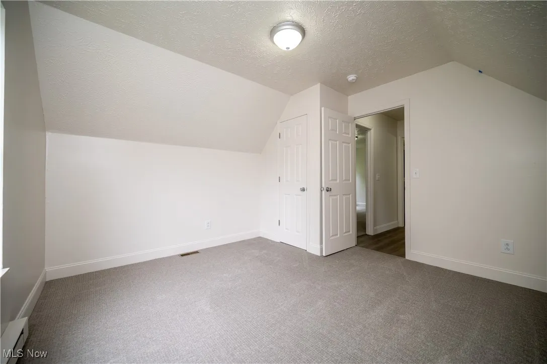 Additional living space featuring a textured ceiling, baseboard heating, carpet flooring, and lofted ceiling