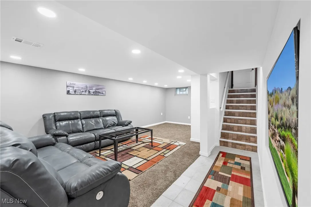 Basement living area