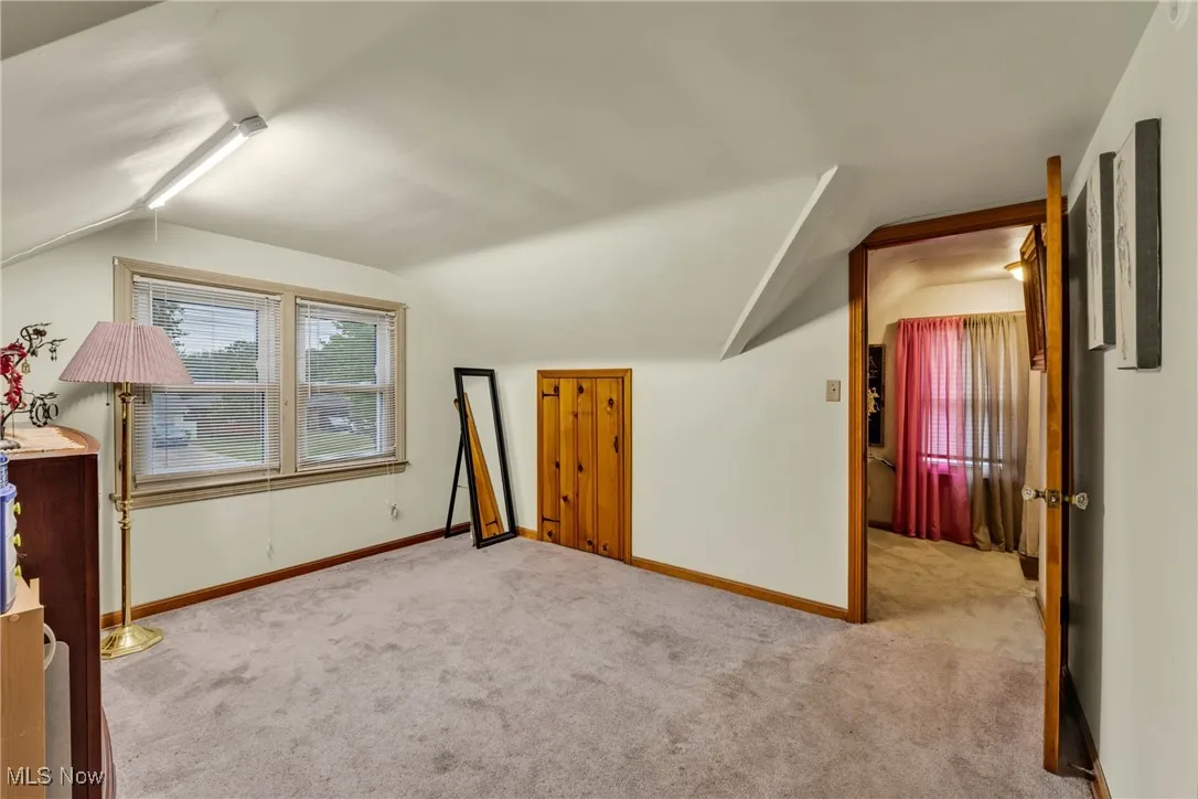 Bonus room featuring vaulted ceiling and carpet