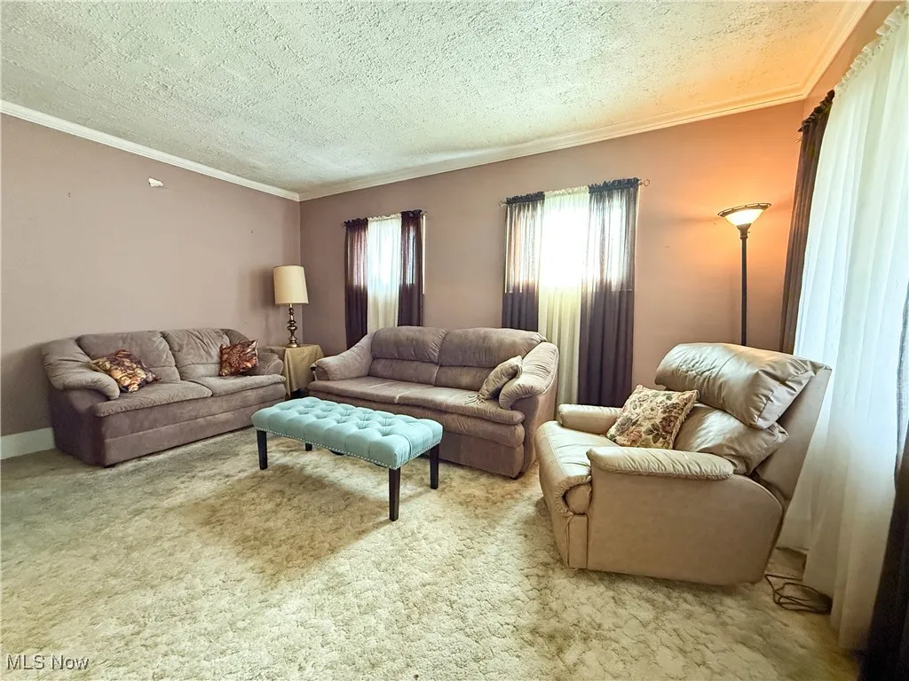 Living room featuring crown molding, carpet flooring, and a textured ceiling
