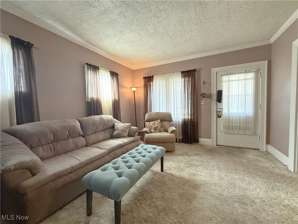 Living room featuring light colored carpet, crown molding, and a textured ceiling