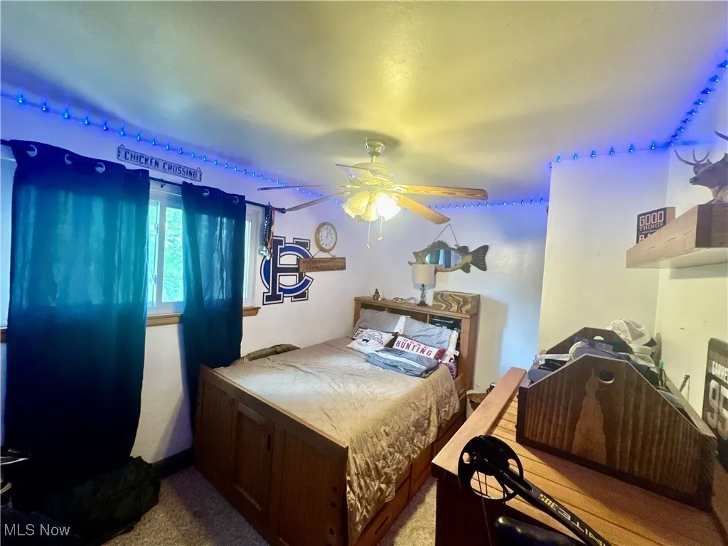 Carpeted bedroom with a ceiling fan