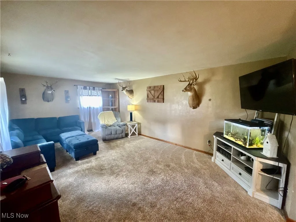 Living area featuring carpet floors and baseboards