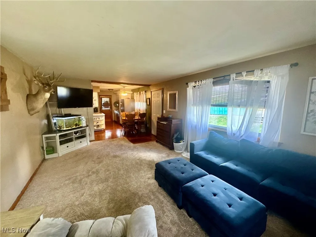 Living area featuring carpet flooring and baseboards