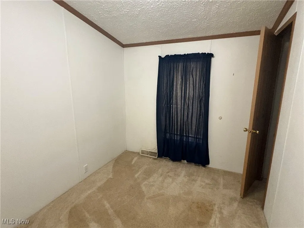 Empty room with a textured ceiling, light carpet, and crown molding