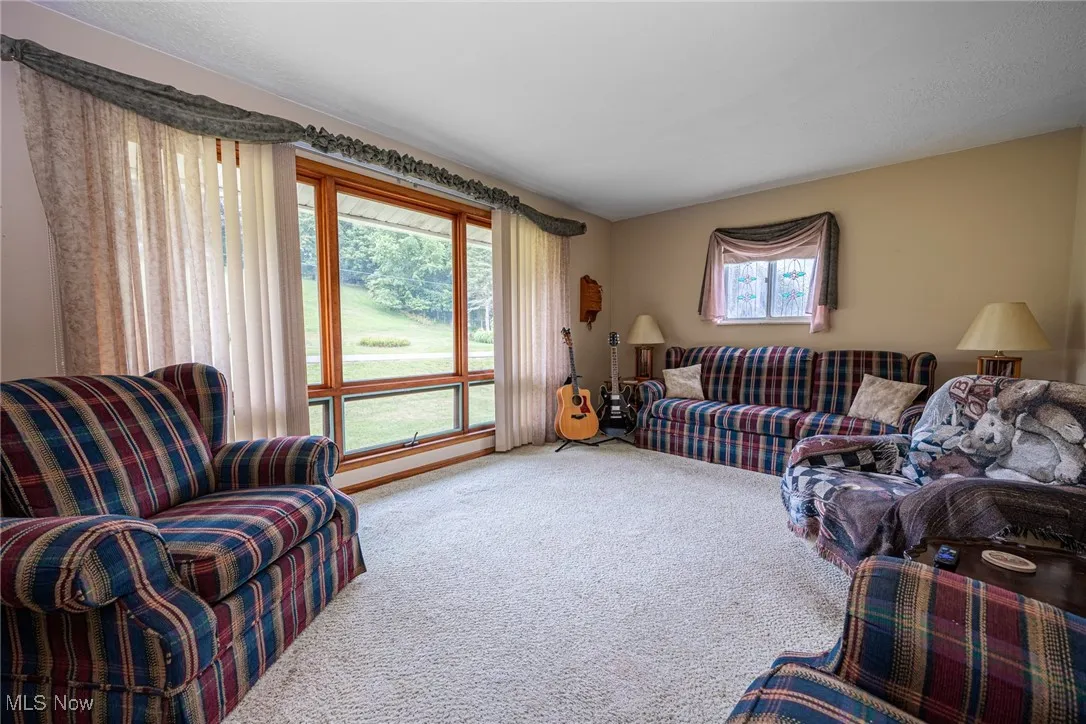 Living room featuring carpet