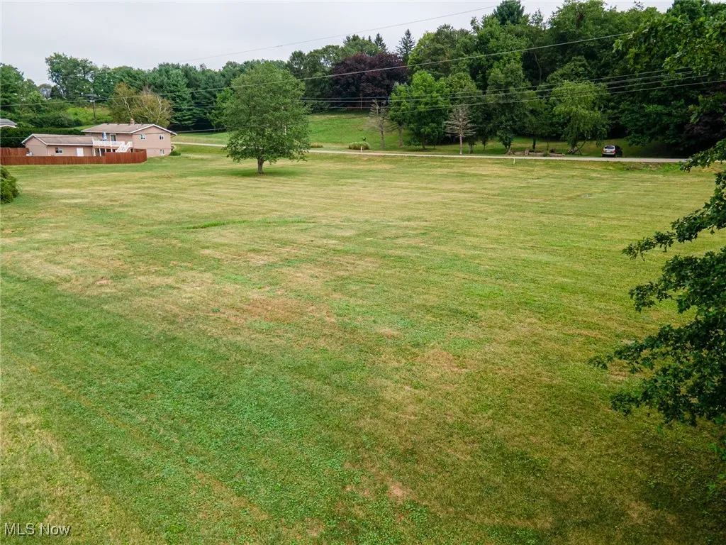 View of grassy yard with view of wooded area