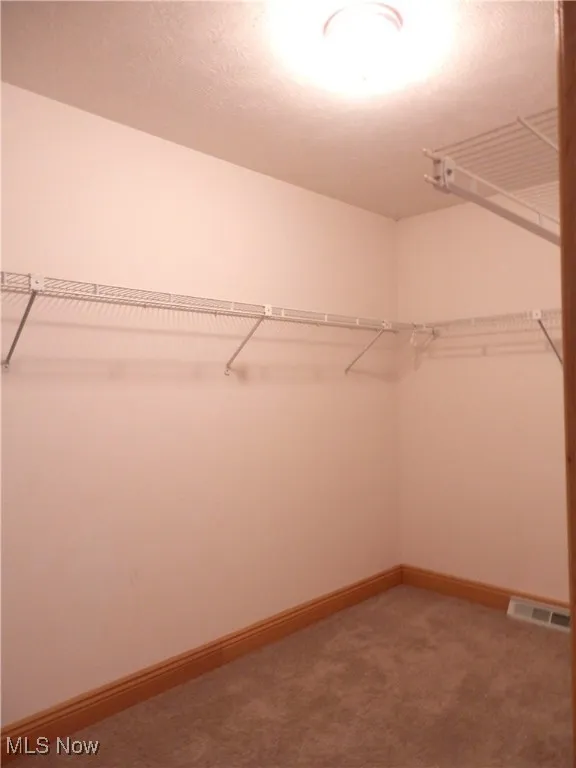 Walk in closet with light carpet