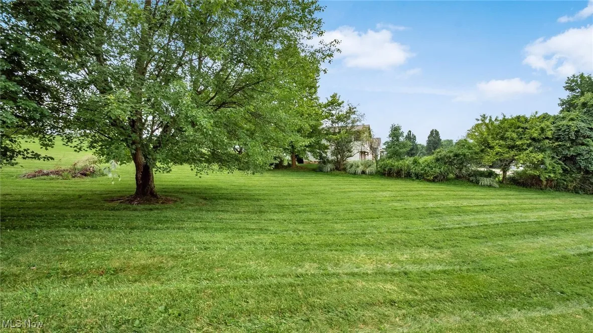 View of grassy yard featuring view of scattered trees