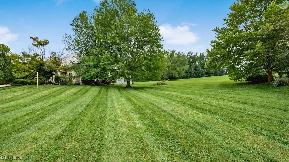 View of green lawn featuring view of scattered trees
