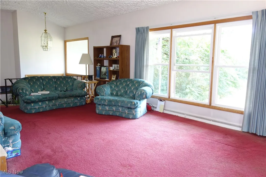 Unbelievably Large Living room