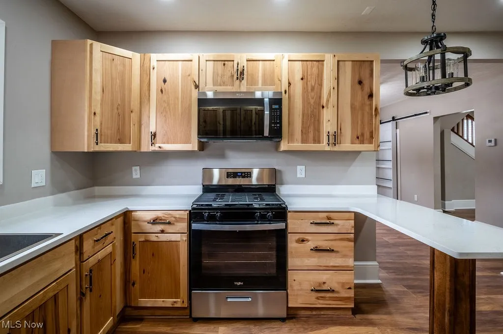 Kitchen with stainless steel appliances, a barn door, dark wood-style floors, and pendant lighting