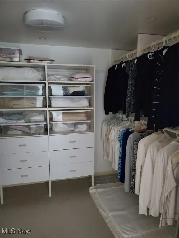 Spacious closet with carpet floors