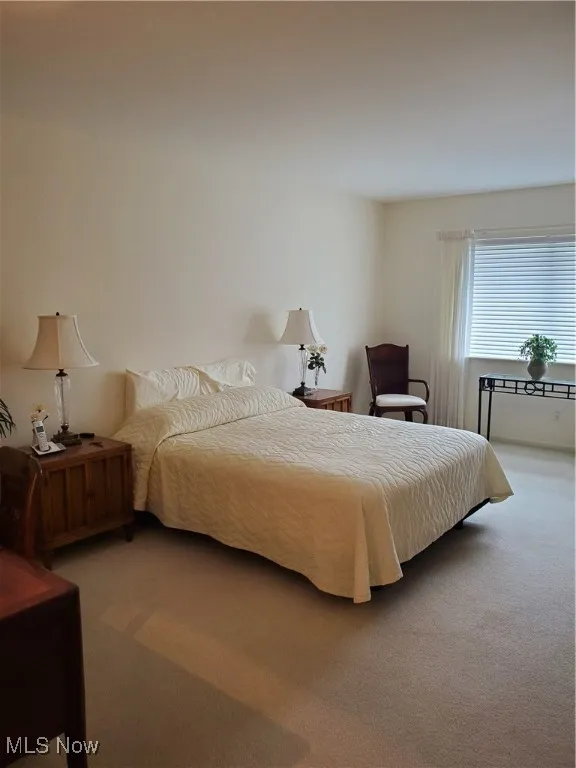 Bedroom featuring carpet flooring, private bath and walk in closet