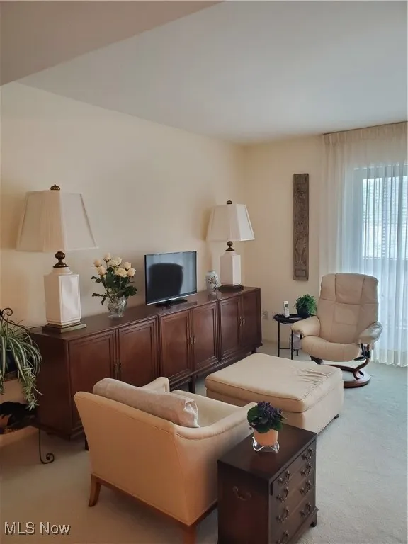 Living area with light carpet