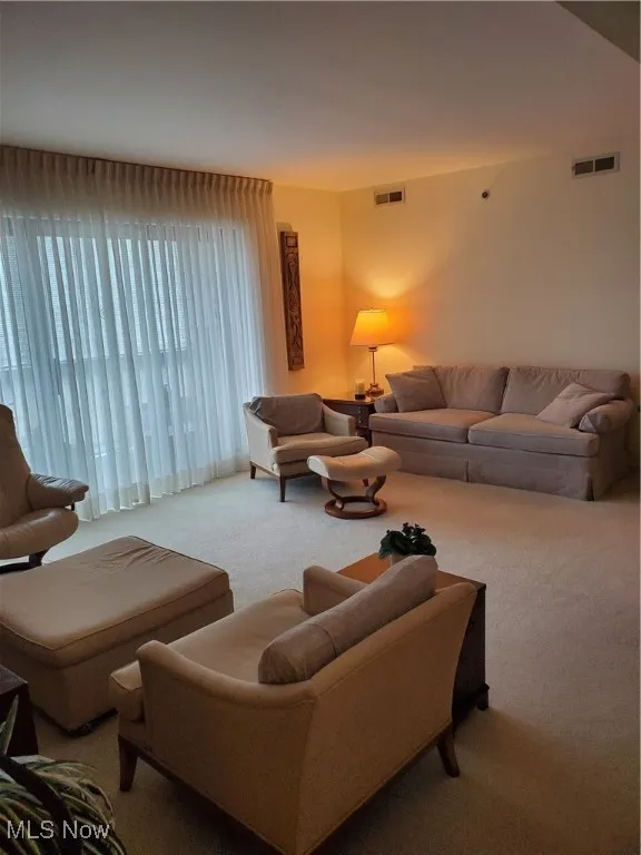 View of carpeted living area