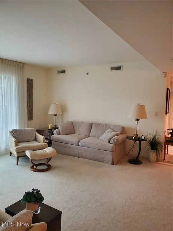 Living area featuring carpet flooring