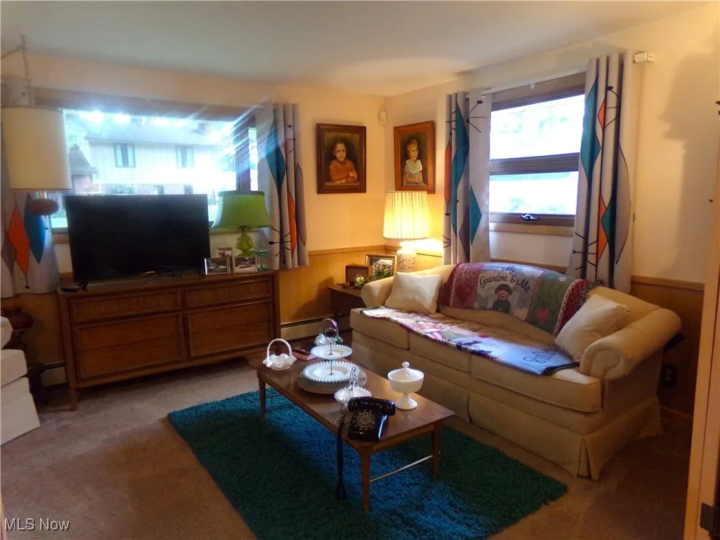 Living area with a wainscoted wall, carpet, and a baseboard heating unit