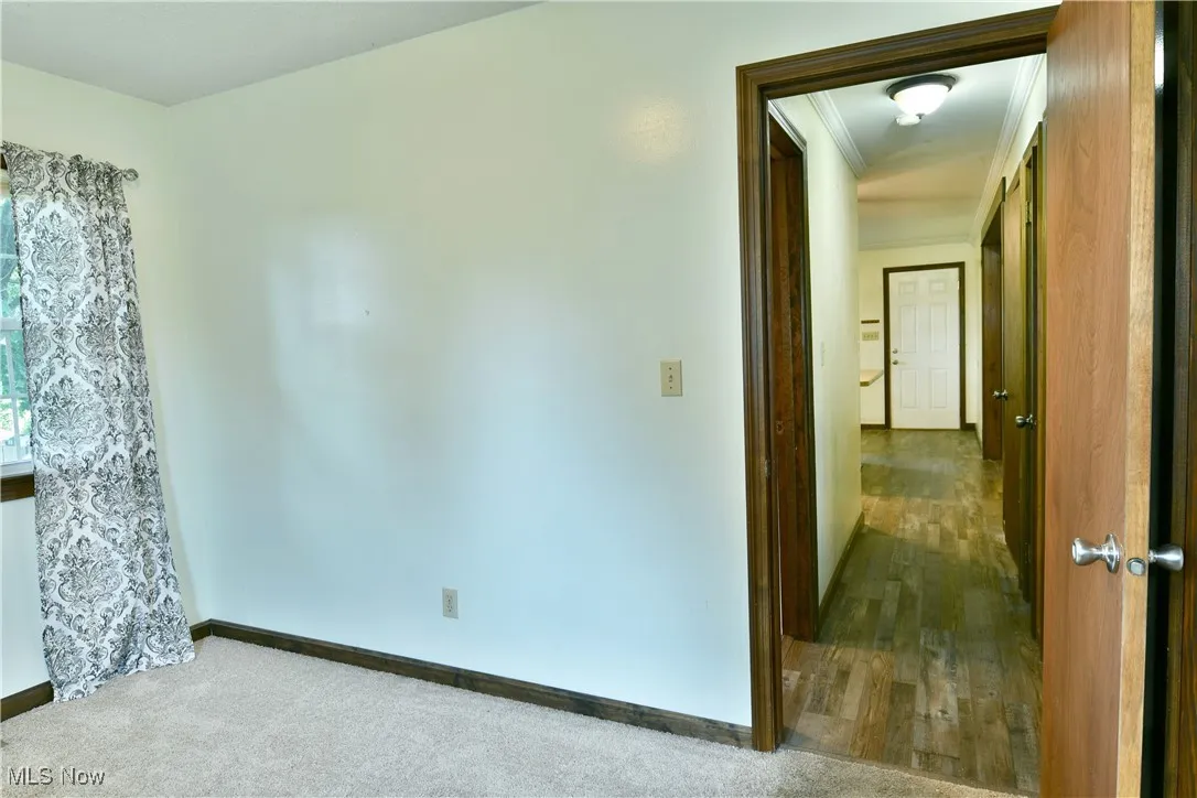 Spare room with carpet floors and crown molding