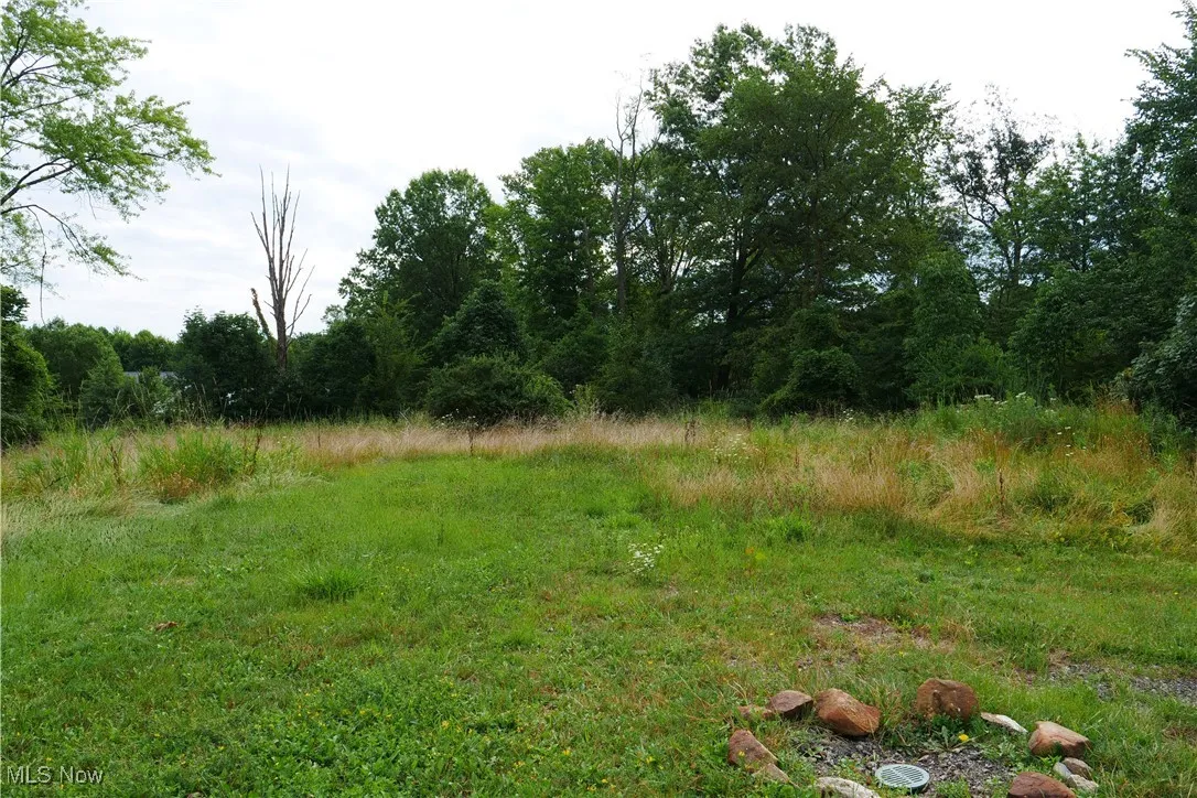 9879 Shepard Road, Macedonia, Ohio 44056,MLS Now Listing ID