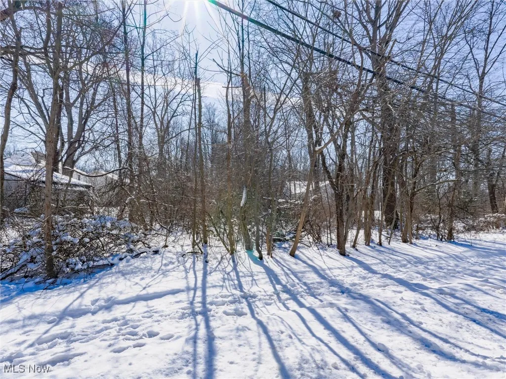 View of snowy yard