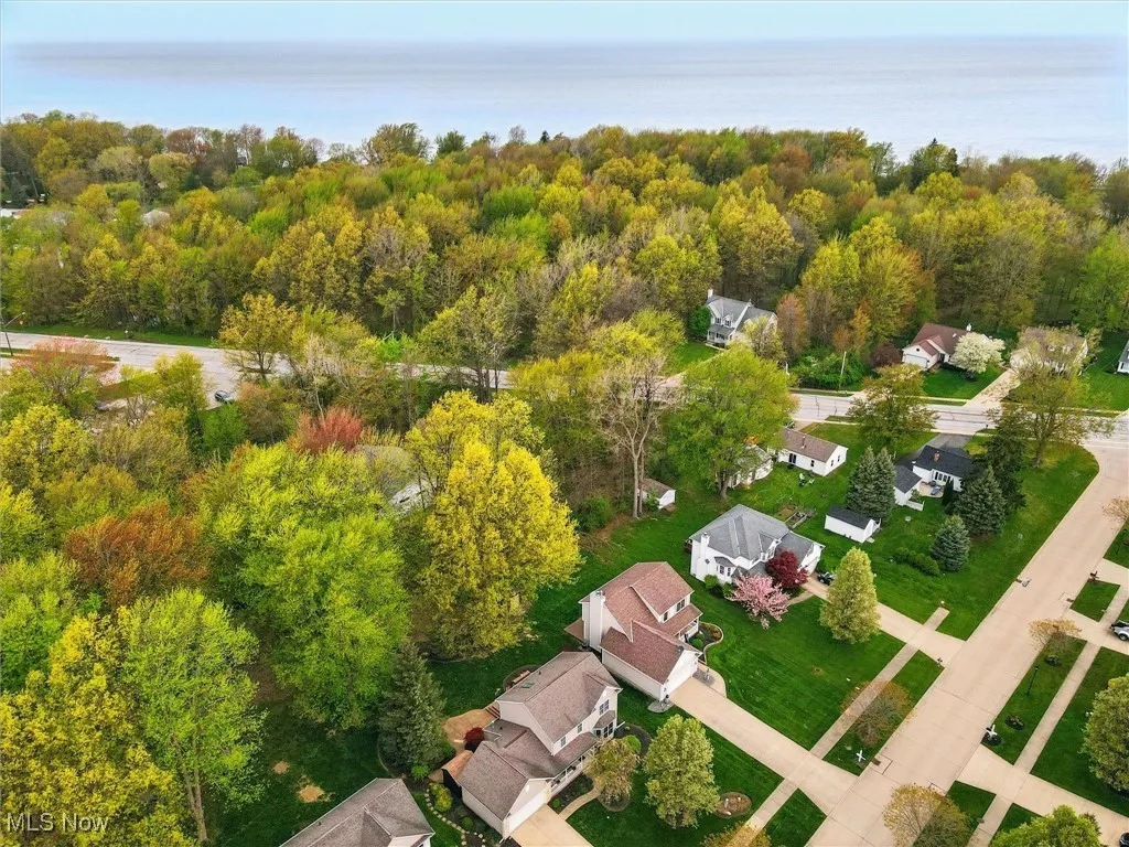 Bird's eye view with a view of trees