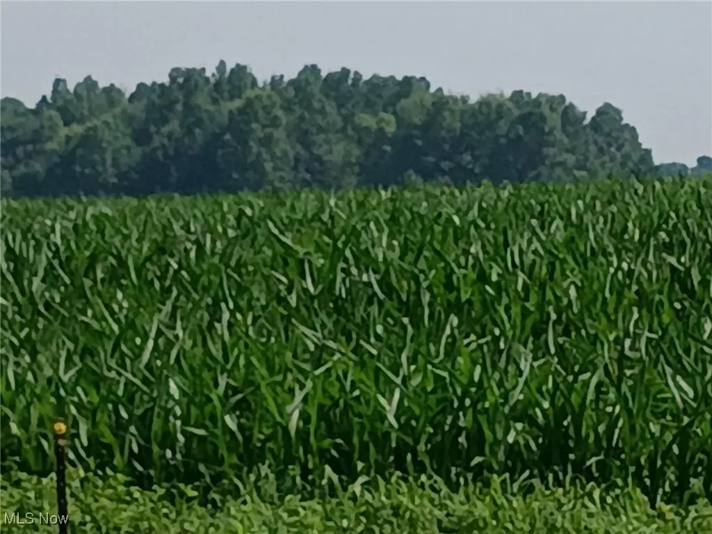 141 State Route 60, New London, Ohio 44851,MLS Now Listing ID