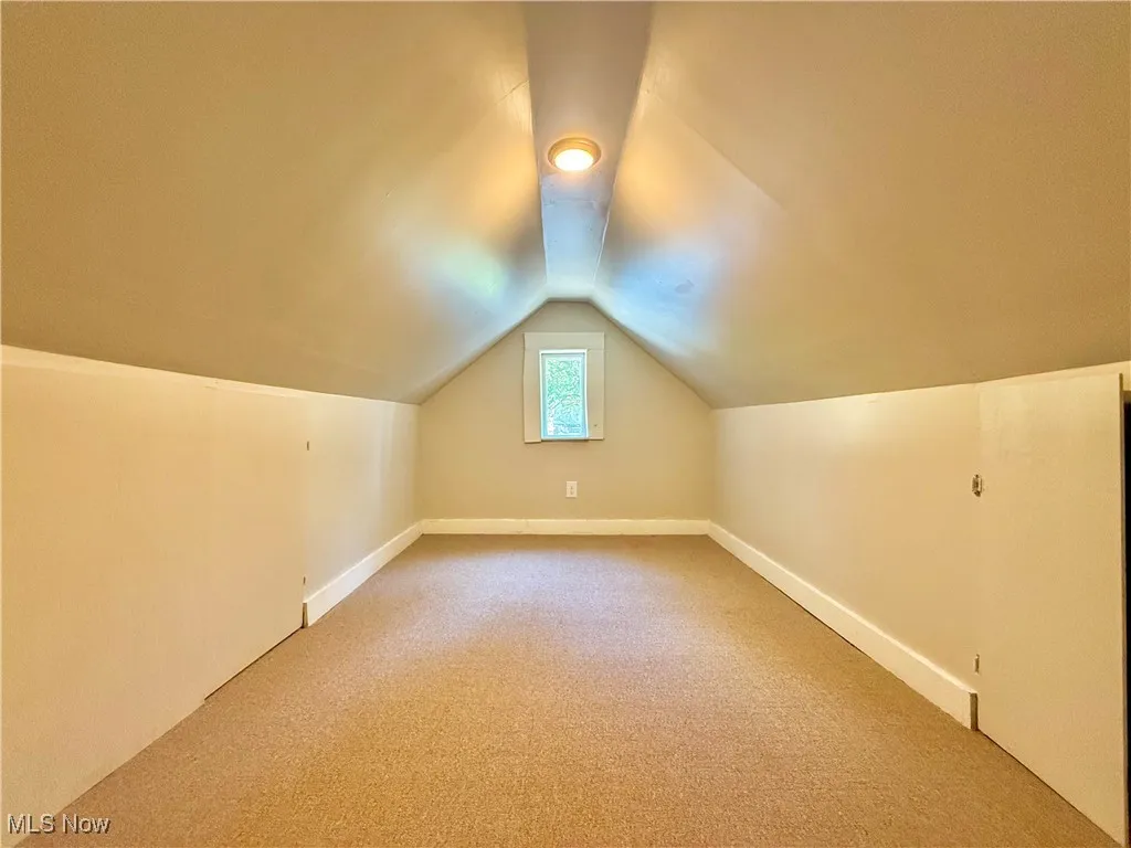 Additional living space with carpet flooring