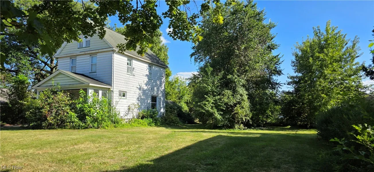 View of grassy yard