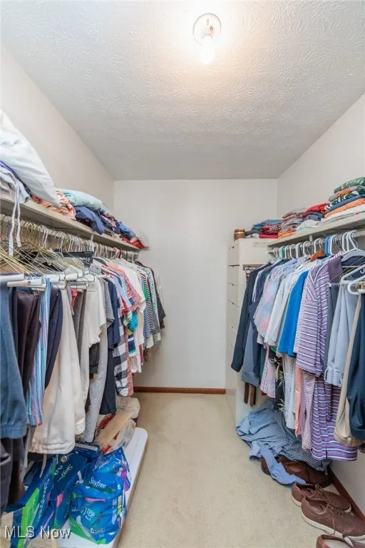 Walk in closet with light carpet