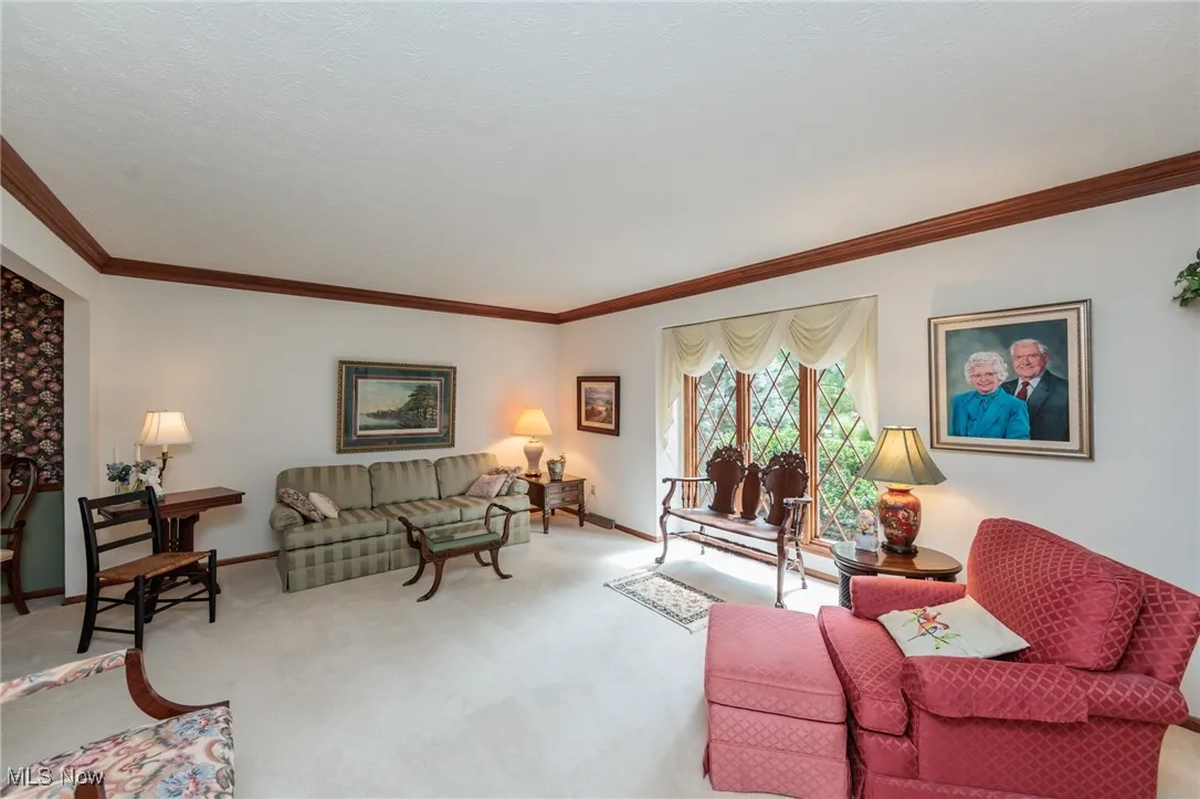 Living room featuring crown molding and carpet flooring