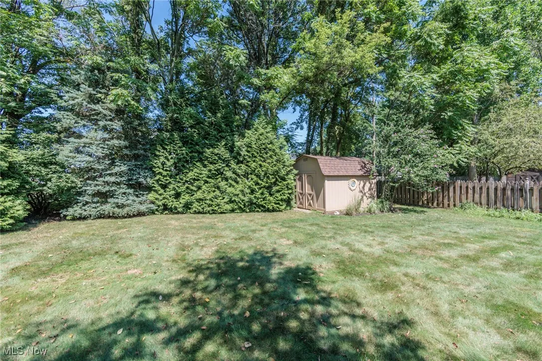 View of yard featuring a shed